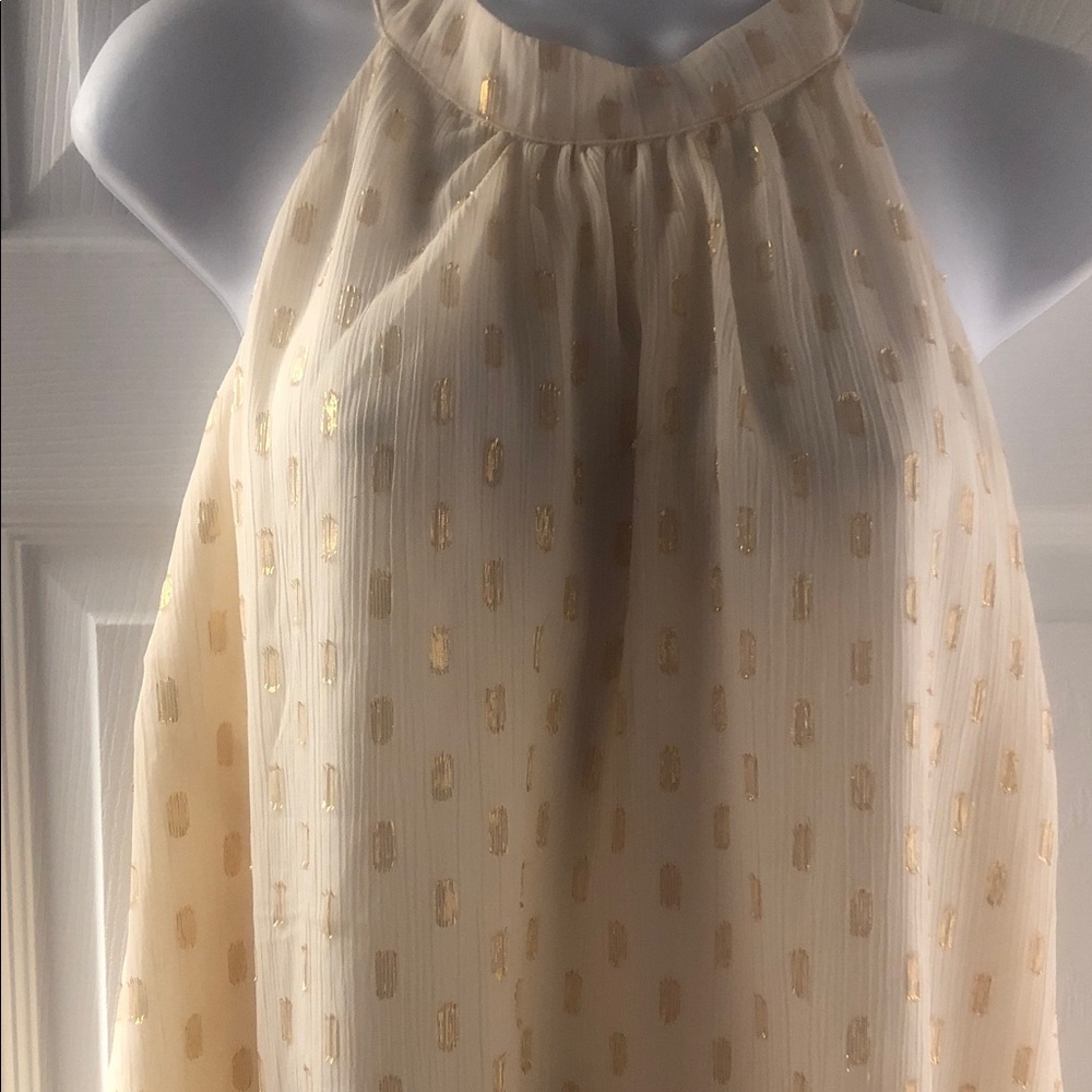 torrid Cream Dress with Gold Dots